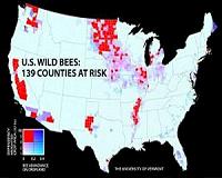 Wild bee decline threatens US crop production