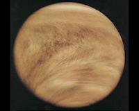 Could dark streaks in Venusian clouds be microbial life