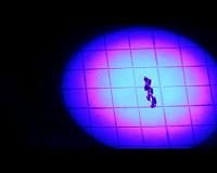 International engineering team develop self-powered mobile polymers