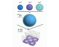 Neutrons find 'missing' magnetism of plutonium