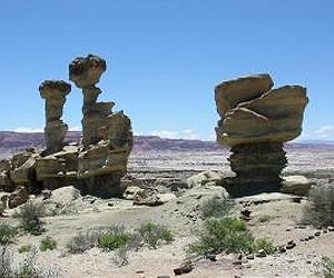 New Predator 'Dawn Runner' Discovered In Early Dinosaur Graveyard