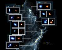 How newborn stars prepare for the birth of planets
