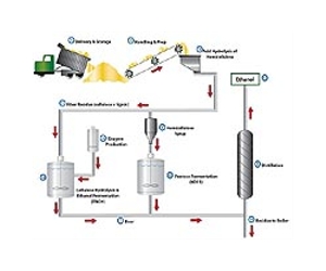 BP And Verenium Announce Pivotal Biofuels Agreement