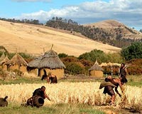 Researchers identify plant cultivation in a 23,000-year-old site in the Galilee