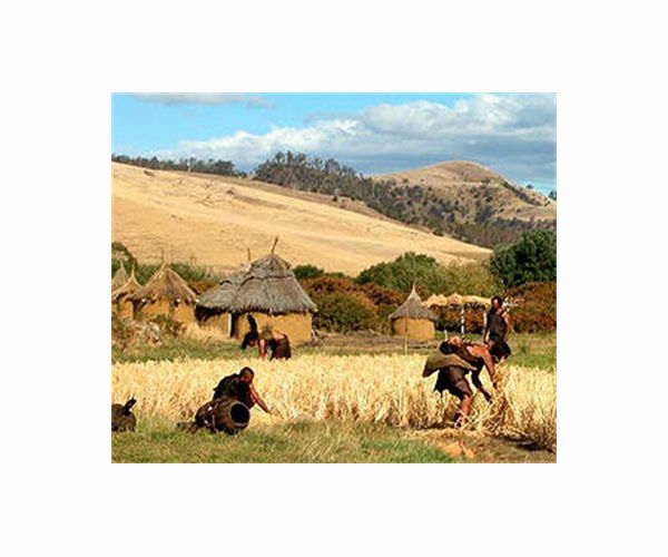 The genetic origins of the world's first farmers clarified