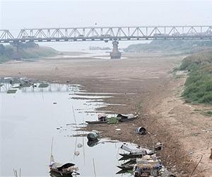 Salty water, parched earth: Vietnam's Mekong paddies dry up