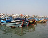 Vietnam fishermen sue Taiwan firm over mass fish deaths