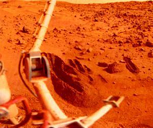 How Habitable Is Mars? A New View of the Viking Experiments