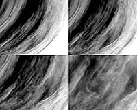 Venusian Rendezvous Results: Chapter One