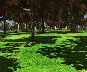 Avatars develop real world skills