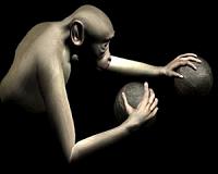 This is 'year zero' of a virtual reality revolution say filmmakers