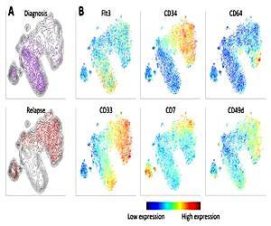 Computational tool translates complex data into simplified 2-dimensional images