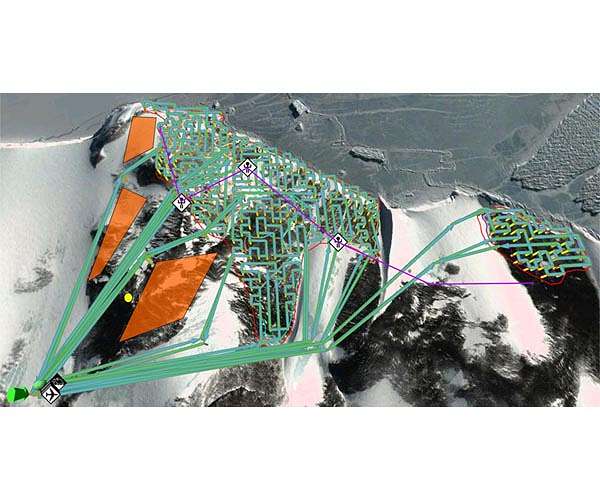 Multi-drone system autonomously surveys penguin colonies