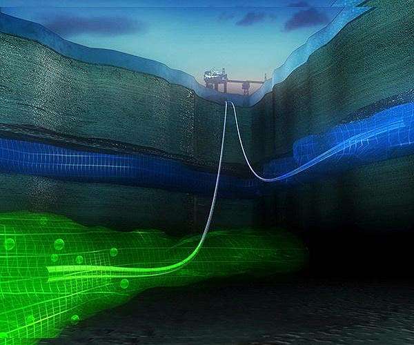 Tectonic cycling may return buried seafloor microbes to life