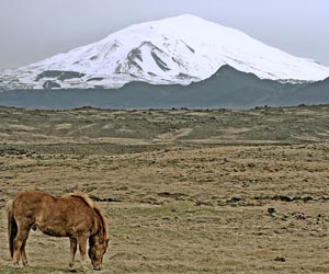 Chinese tycoon one step closer to Icelandic land purchase