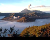 Ancient Toba Mega-Eruption Not So Catastrophic