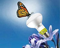 Vu1 Completes Financing For Further Development Of Mercury-Free Light Bulb