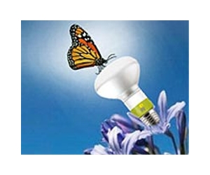 Next-generation light bulb shines at CES
