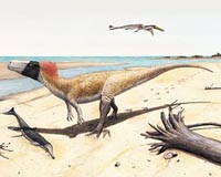 Study: Dinosaurs' color patterns reveal habitat preferences