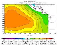 Tracking 'marine heatwaves' since 1950 - and how the 'blob' stacks up
