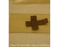 WSU researchers develop shape-changing 'smart' material