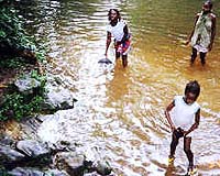 World heads for 'water bankruptcy', says Davos report