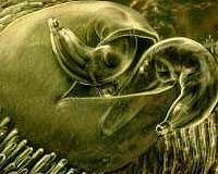 GD Awarded Contract For Next-Gen Cryptographic Technologies