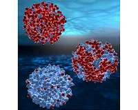 The origin of water's unusual properties found