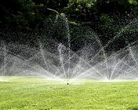Drought face-lift: California paints lawns green