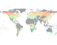 Water, not temperature, limits global forest growth as climate warms