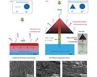 Artificial transpiration for solar water purification