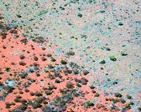 Fairy circles discovered in Australia by researchers