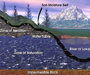 Scientists rethink how water moves in soil