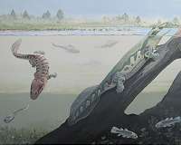 Supernova could explain extinctions at the end of the Devonian period