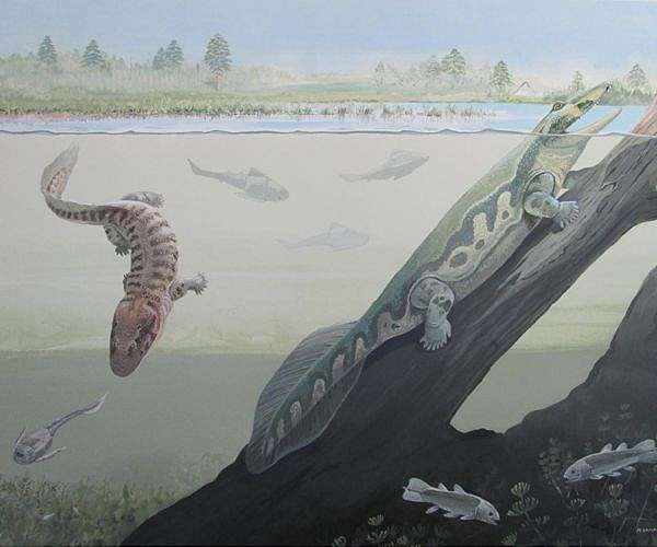 Diversity of marine reptiles divvied up the Mesozoic seas