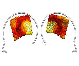 'Brain waves' challenge area-specific view of brain activity