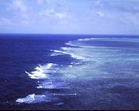 Study finds Great Barrier Reef is an effective wave absorber