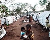 Sri Lanka hails record military deployment as toll hits 213