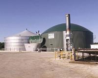 Weltec Biopower Builds 500-kW Biogas Plant for Vegetable Producer