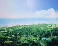 New satellite launch center to conduct joint drill