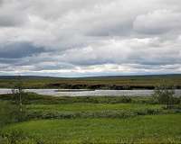 Wetlands are key for accurate greenhouse gas measurements in the Arctic