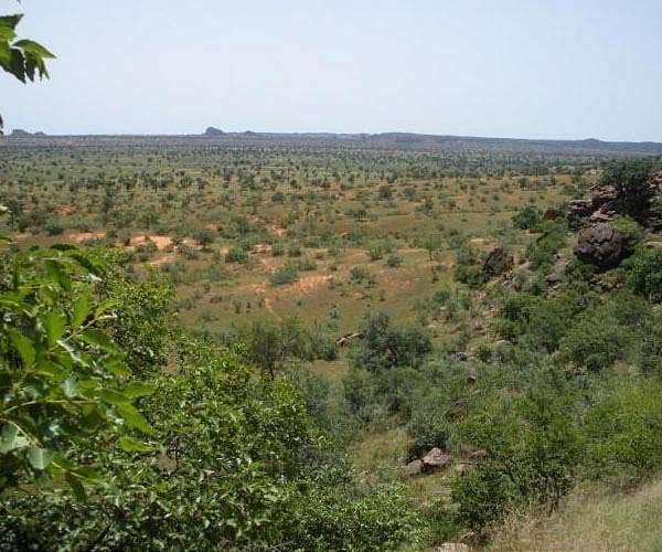 Planet and Justdiggit enable nature-based solutions to regreen the land