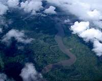Heavy precipitation speeds carbon exchange in tropics