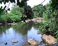 New, Rare And Threatened Species Discovered In Ghana