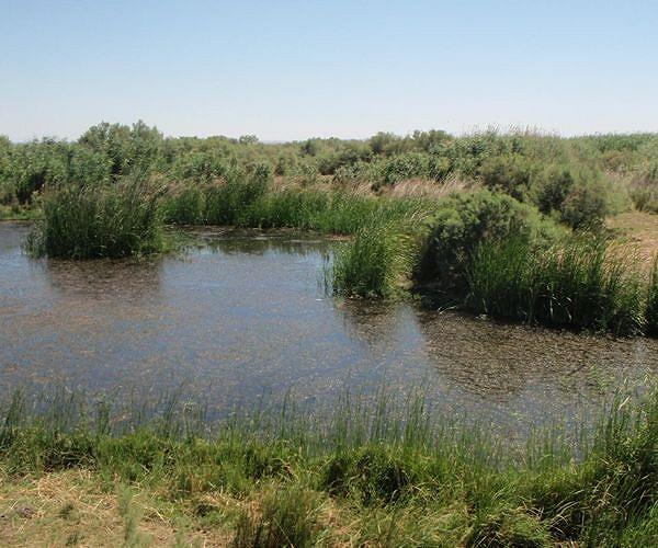 Spain vows to block farming near threatened wetlands