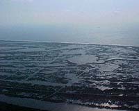 NASA Finds Glacial Sediments Adding To Louisiana Coast's Sinking