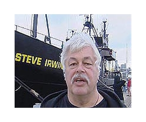 Sea Shepherd to launch anti-whaling action in Faroes