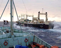 We won't stop, activists tell Japanese whalers