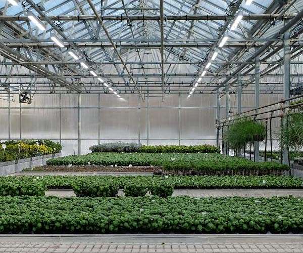 Greenhouse gas repurposed in University of Auckland experiments