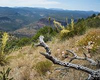 Meteorites Recovered in Arizona from June 2 Fireball